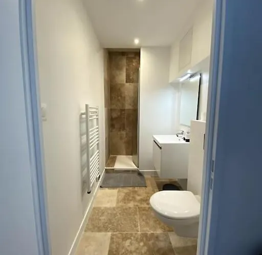 Magnifique T2 Proche De La Gare קלרמונט-פרנד