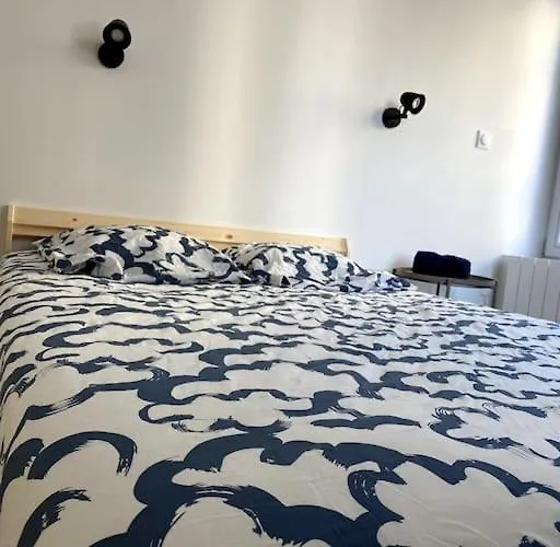 Magnifique T2 Proche De La Gare * קלרמונט-פרנד